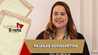 Explica Direito Filiação Socioafetiva  2019 [upl. by Repohtsirhc]